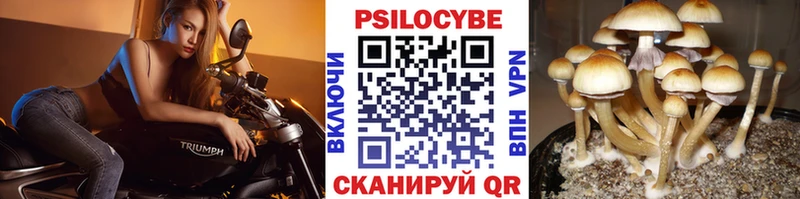 Псилоцибиновые грибы мицелий  Мирный 